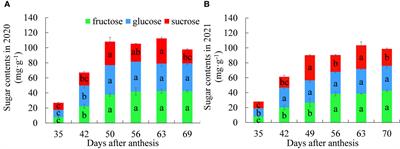 Transcriptomics‐based analysis of the causes of sugar receding in Feizixiao litchi (Litchi chinensis Sonn.) pulp